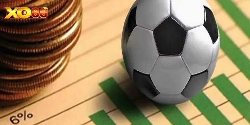 Tìm hiểu về kèo 0.5 trước khi xuống tiền