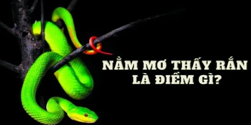 Tổng hợp bộ số “chuẩn” khi chiêm bao thấy rắn