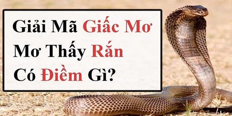 Tìm hiểu ý nghĩa của giấc mộng thấy rắn